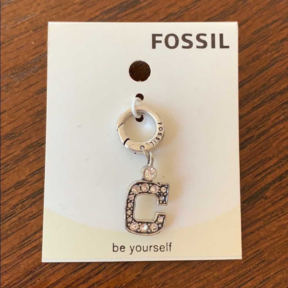 Fossil charm